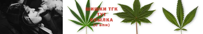 МДПВ Протвино