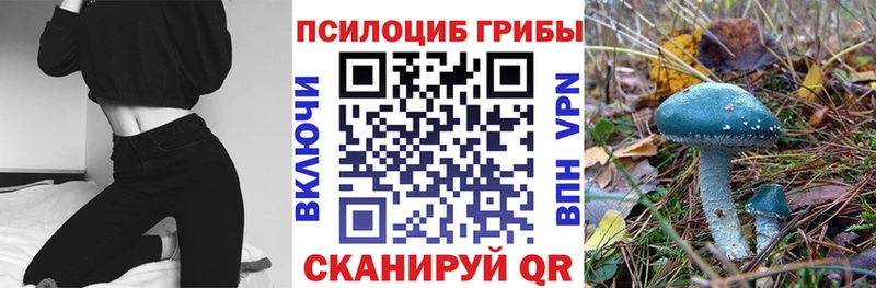 сайты даркнета какой сайт  Гдов  Псилоцибиновые грибы MAGIC MUSHROOMS  наркотики  блэк спрут как зайти 